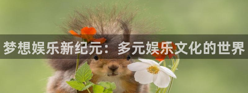 彩虹多多4注册：梦想娱乐新纪元：多元娱乐文化的世界