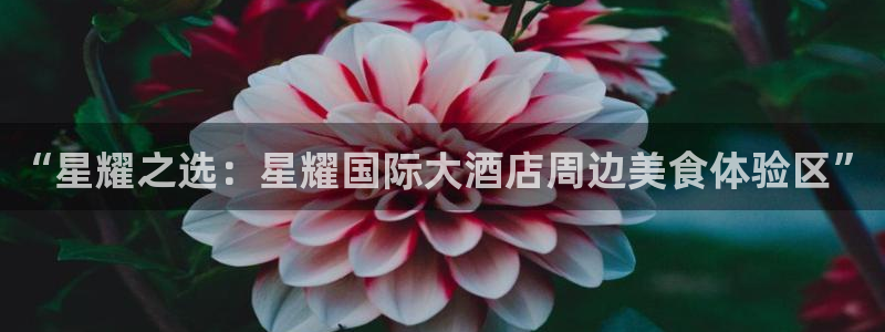 彩虹多多体育凯捷平台招商：“星耀之选：星耀国际大酒店周边美食体验区”