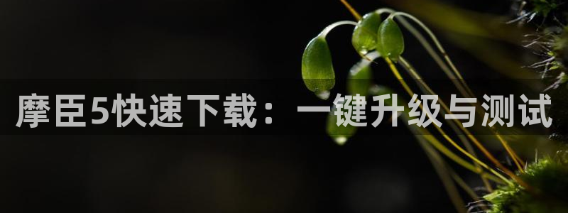 彩虹多多平台在线注册：摩臣5快速下载：一键升级与测试