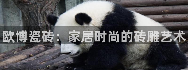 彩虹多多体育f开号：欧博瓷砖：家居时尚的砖雕艺术