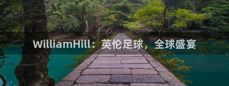 彩虹多多体育平台注册：WilliamHill：英伦足球，全球盛宴