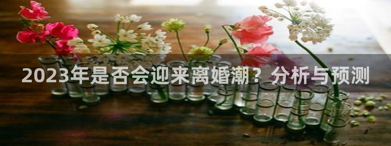 福建彩虹多多机电股份公司：2023年是否会迎来离婚潮？分析与预测