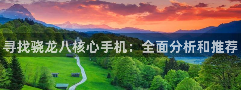 成都彩虹多多电子有限公司：寻找骁龙八核心手机：全面分析和推荐