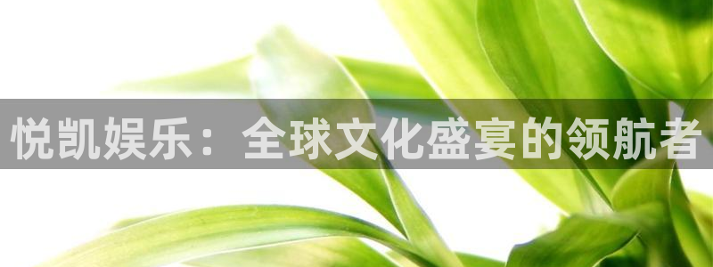彩虹多多体育凯捷代理注册：悦凯娱乐：全球文化盛宴的领航者