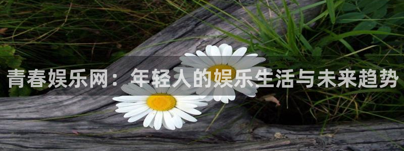 彩虹多多体育用品：青春娱乐网：年轻人的娱乐生活与未来趋势