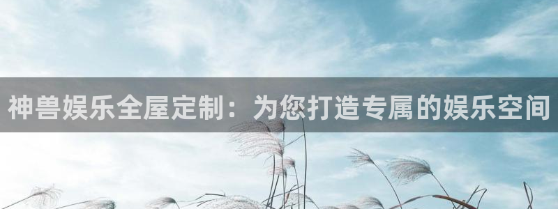 彩虹多多：神兽娱乐全屋定制：为您打造专属的娱乐空间