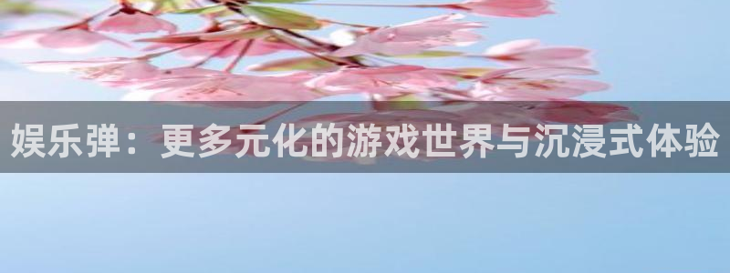 彩虹多多集团股票：娱乐弹：更多元化的游戏世界与沉浸式体验