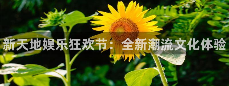 彩虹多多3注册：新天地娱乐狂欢节：全新潮流文化体验