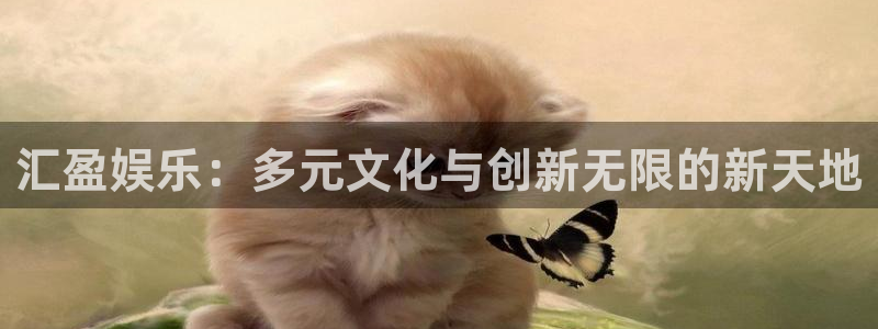 彩虹多多k：汇盈娱乐：多元文化与创新无限的新天地