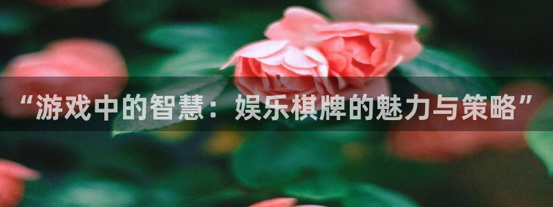 彩虹多多3官网登录：“游戏中的智慧：娱乐棋牌的魅力与策略”