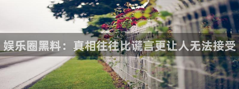 彩虹多多5：娱乐圈黑料：真相往往比谎言更让人无法接受