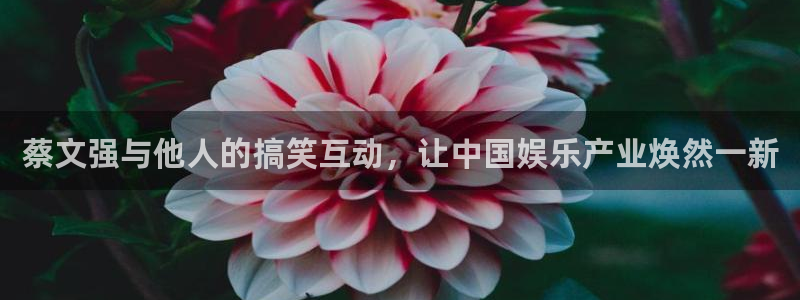 彩虹多多体育老板是谁：蔡文强与他人的搞笑互动，让中国娱乐产业焕然一新