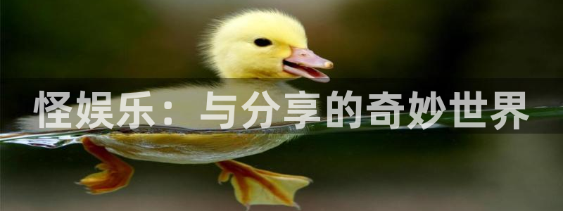 彩虹多多体育2官网入口：怪娱乐：与分享的奇妙世界