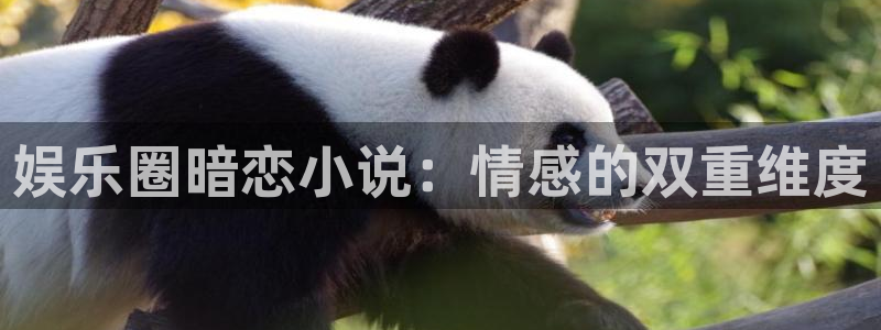 彩虹多多5：娱乐圈暗恋小说：情感的双重维度