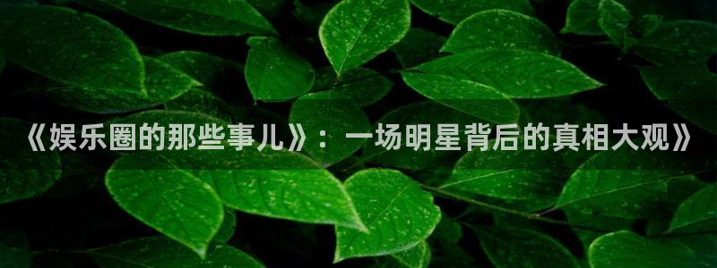 彩虹多多招商：《娱乐圈的那些事儿》：一场明星背后的真相大观》