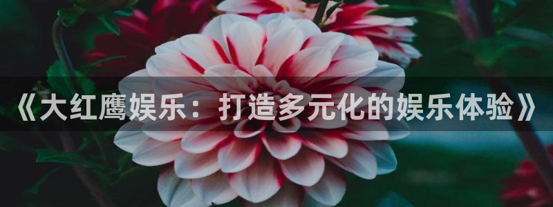 彩虹多多主管：《大红鹰娱乐：打造多元化的娱乐体验》
