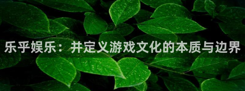 彩虹多多电子有限公司：乐乎娱乐：并定义游戏文化的本质与边界