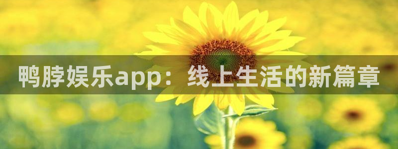 彩虹多多2登录：鸭脖娱乐app：线上生活的新篇章