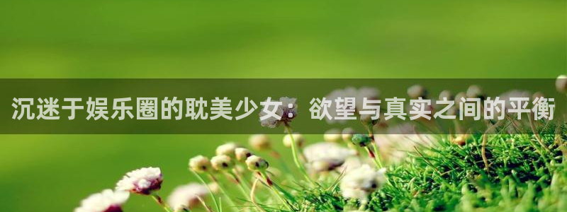 彩虹多多电子有限公司：沉迷于娱乐圈的耽美少女：欲望与真实之间的平衡