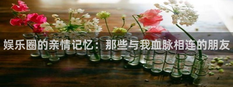 彩虹多多3登陆：娱乐圈的亲情记忆：那些与我血脉相连的朋友