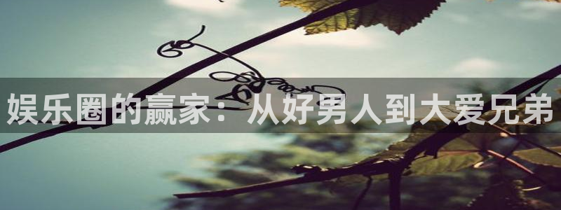 彩虹多多官网：娱乐圈的赢家：从好男人到大爱兄弟