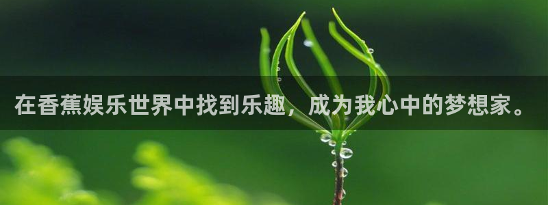 彩虹多多官网入口：在香蕉娱乐世界中找到乐趣，成为我心中的梦想家。
