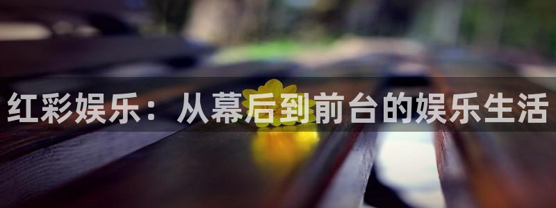 东莞市彩虹多多电子科技有限公司：红彩娱乐：从幕后到前台的娱乐生活