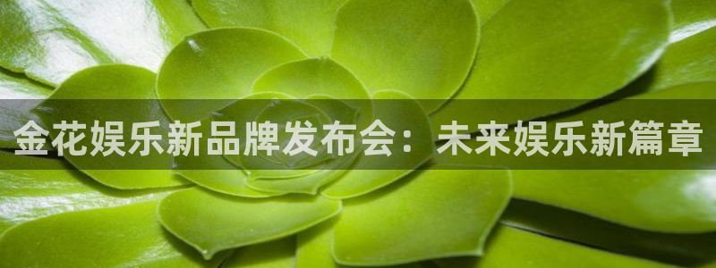 彩虹多多3平台注册：金花娱乐新品牌发布会：未来娱乐新篇章