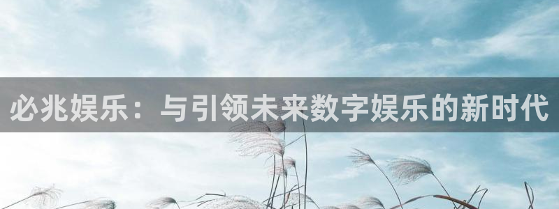 彩虹多多体育代理申请流程：必兆娱乐：与引领未来数字娱乐的新时代