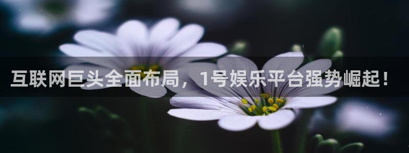 彩虹多多零能源集团：互联网巨头全面布局，1号娱乐平台强势崛起！