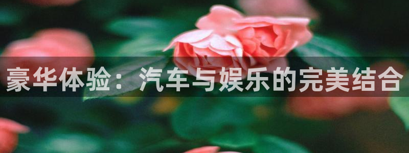 彩虹多多4代理：豪华体验：汽车与娱乐的完美结合