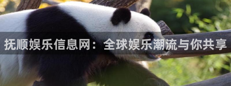 彩虹多多体育注册登录入口：抚顺娱乐信息网：全球娱乐潮流与你共享