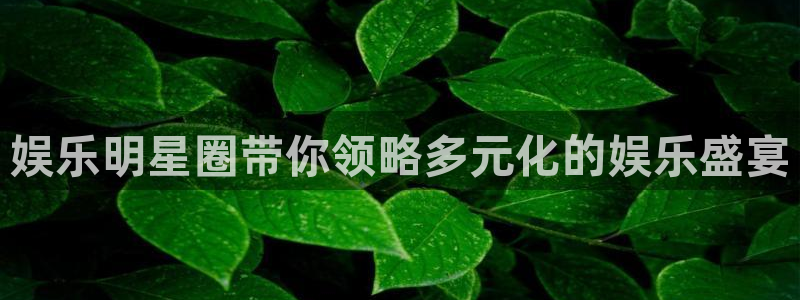 彩虹多多3登陆：娱乐明星圈带你领略多元化的娱乐盛宴