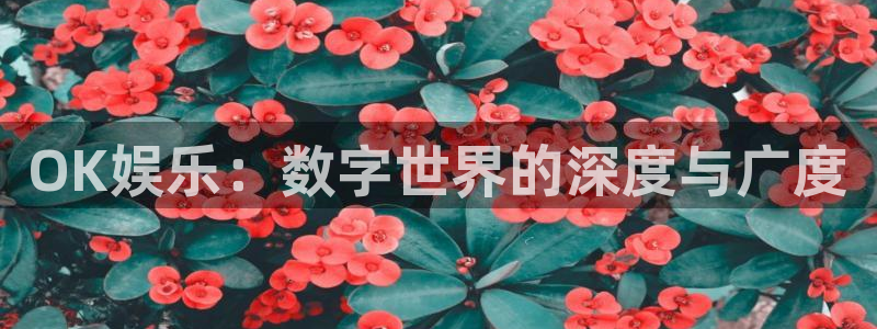 彩虹多多集团股票：OK娱乐：数字世界的深度与广度